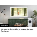 SAMSUNG TQ65LS03BSUXXCO TELEVISOR